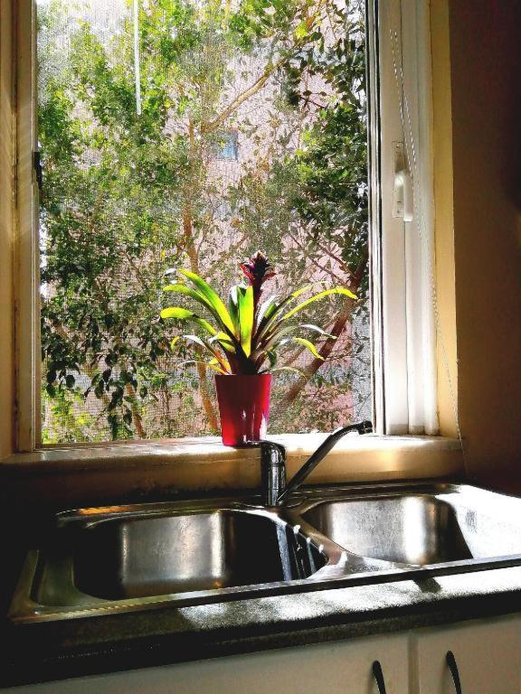 Apartament Odyseia Apts ιi At The Center Of The & Old Town